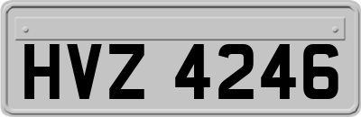 HVZ4246