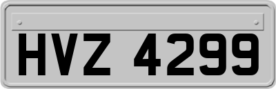 HVZ4299