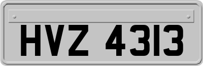 HVZ4313