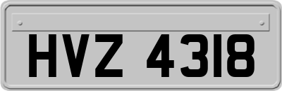 HVZ4318