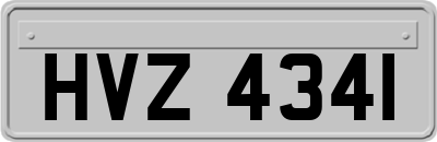 HVZ4341