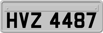 HVZ4487