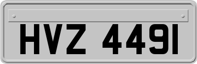 HVZ4491