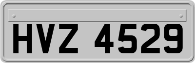 HVZ4529
