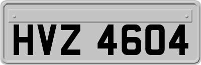 HVZ4604