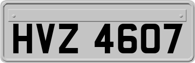 HVZ4607