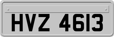 HVZ4613