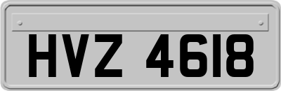 HVZ4618