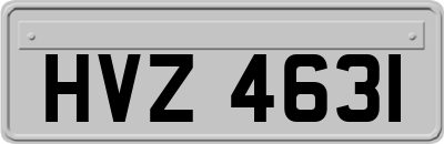 HVZ4631