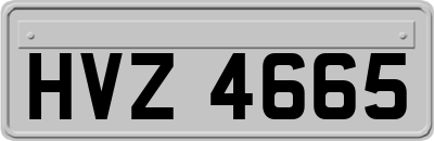 HVZ4665