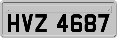 HVZ4687
