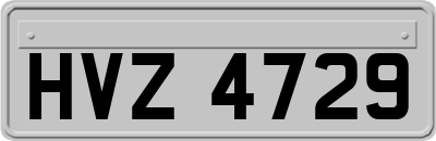 HVZ4729