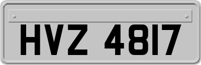 HVZ4817