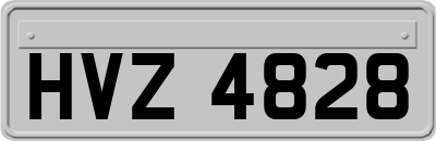 HVZ4828