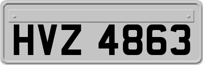 HVZ4863