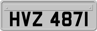 HVZ4871