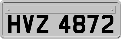 HVZ4872