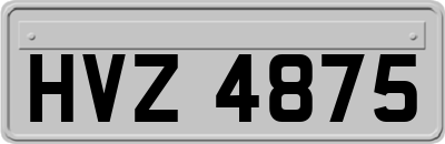 HVZ4875