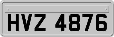 HVZ4876