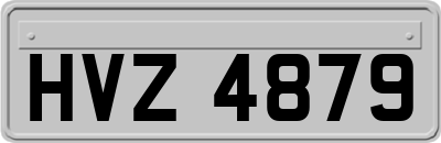 HVZ4879