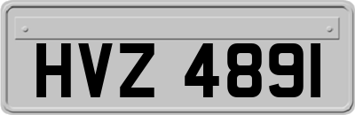 HVZ4891