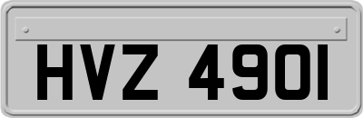 HVZ4901