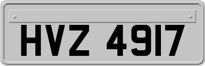 HVZ4917
