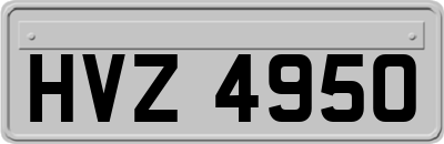 HVZ4950