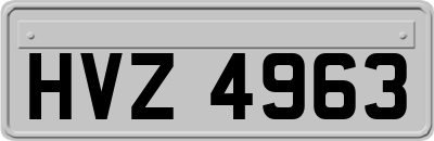 HVZ4963