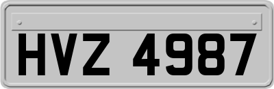 HVZ4987
