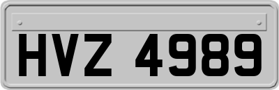HVZ4989