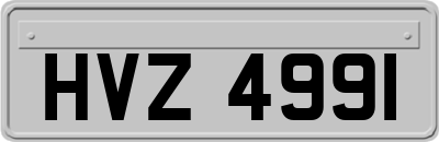 HVZ4991