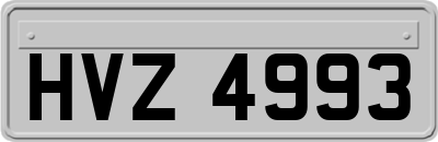 HVZ4993