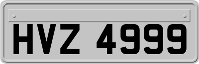 HVZ4999