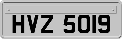 HVZ5019