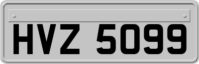 HVZ5099