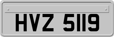 HVZ5119