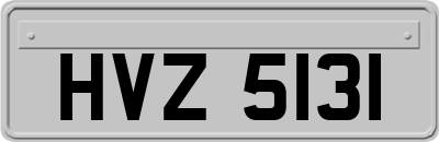 HVZ5131