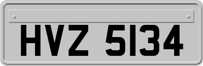HVZ5134