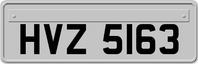HVZ5163