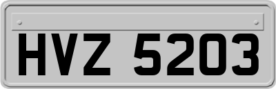 HVZ5203