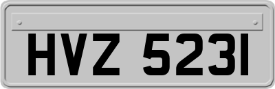 HVZ5231