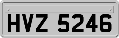 HVZ5246