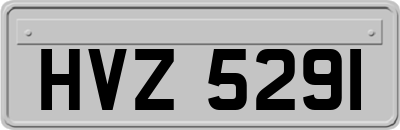 HVZ5291