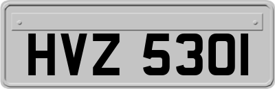 HVZ5301