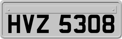 HVZ5308