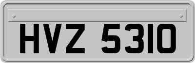 HVZ5310