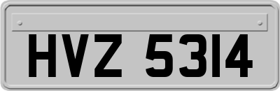 HVZ5314
