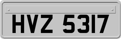 HVZ5317