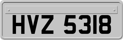 HVZ5318